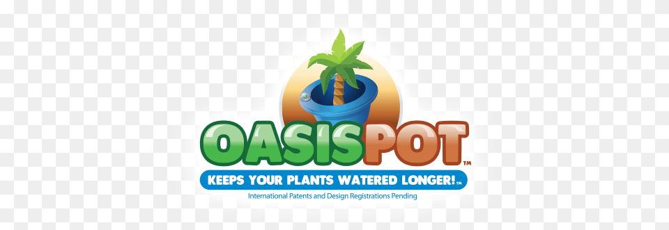 Lasts For Months Water, Tree, Potted Plant, Plant, Leaf Png