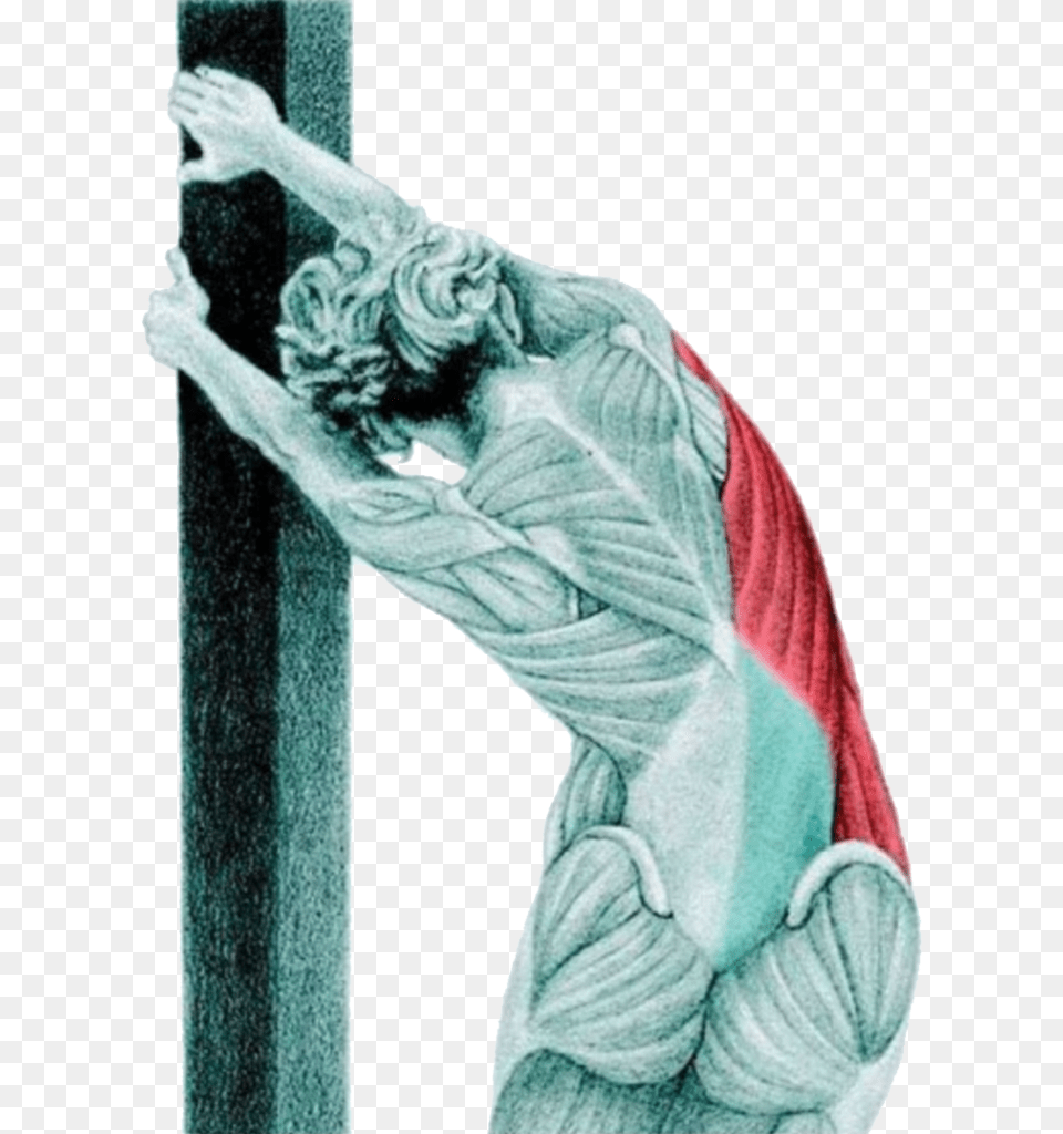 Lat Stretch At The Wall Lat Stretch On Wall, Cross, Symbol, Adult, Male Free Transparent Png