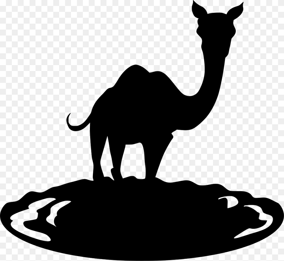 Latest Camel Journey Transparent Amp Clipart Portable Network Graphics, Animal, Mammal, Elephant, Wildlife Png