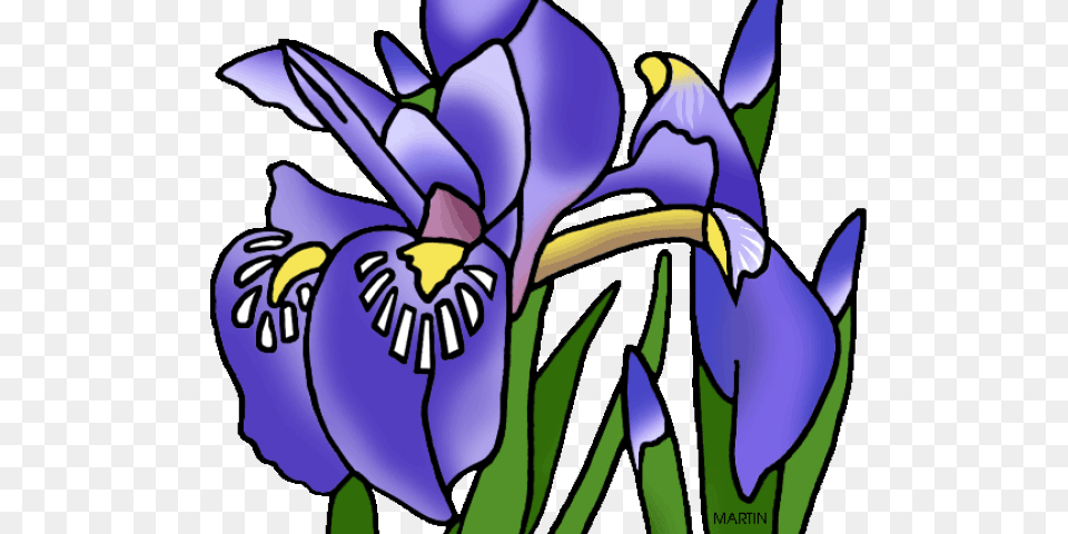 Latest Cliparts, Flower, Iris, Plant, Purple Free Png