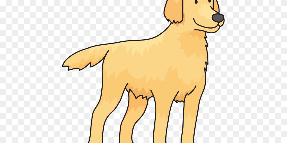 Latest Cliparts, Golden Retriever, Animal, Canine, Dog Png Image