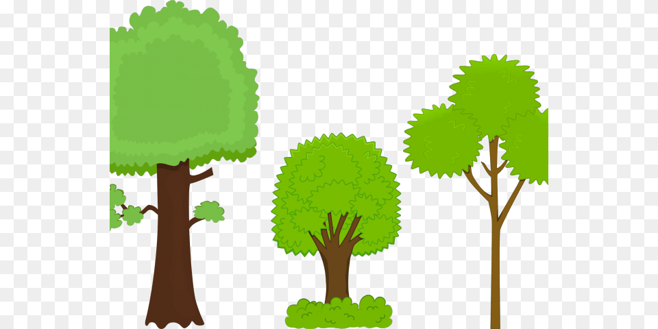 Latest Cliparts, Vegetation, Green, Tree, Plant Free Png Download