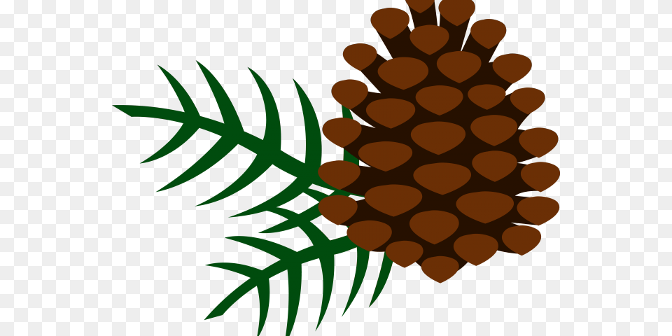 Latest Cliparts, Conifer, Plant, Tree, Pattern Free Png