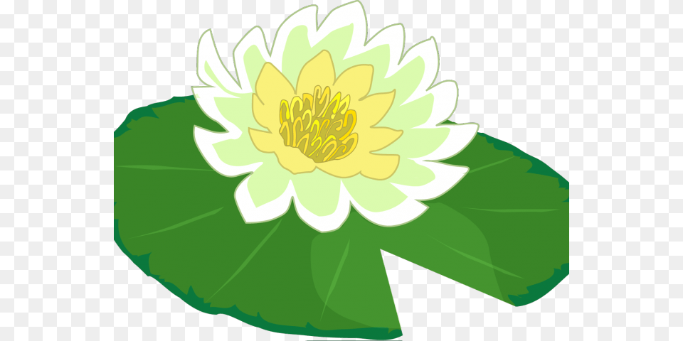 Latest Cliparts, Anther, Dahlia, Flower, Lily Png