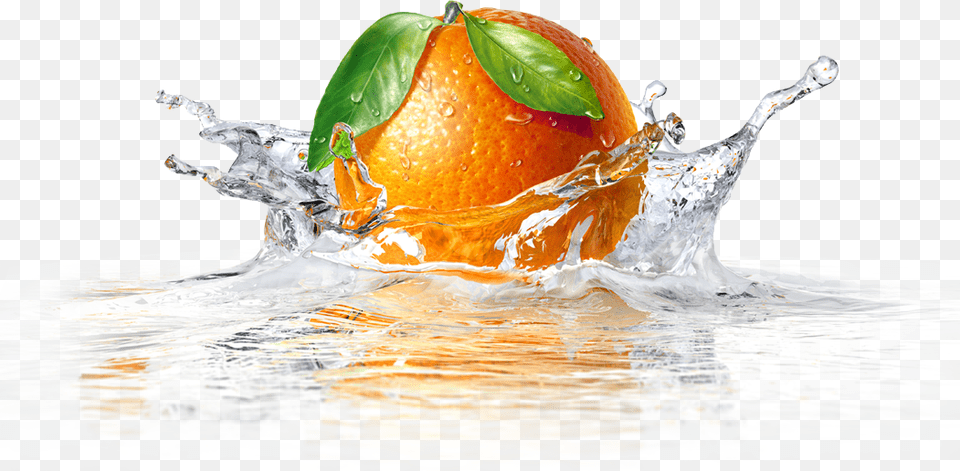 Latest Works Fruit Infuser Water Bottle For Detox Water, Citrus Fruit, Food, Grapefruit, Orange Png Image