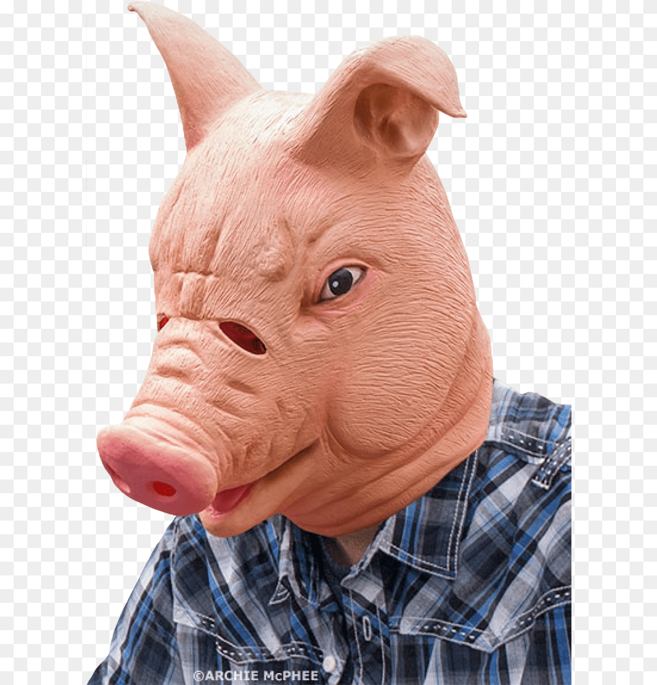 Latex Full Head Mask Creepy Pig Full Head Latex Mask, Animal, Mammal, Hog, Baby Free Png Download