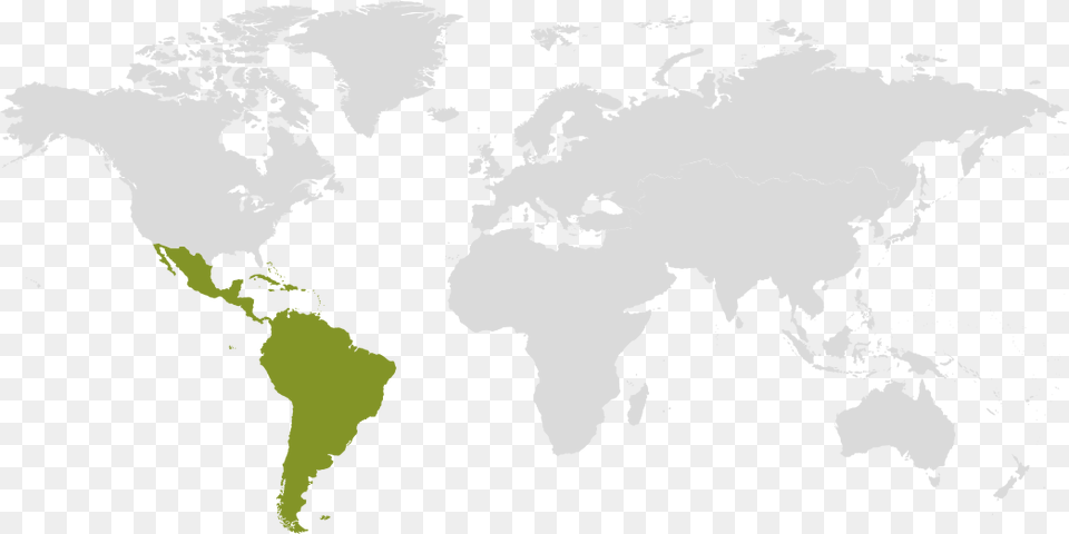 Latin America And Caribbean Map Latin America And Caribbean On World Map, Plot, Chart, Adult, Wedding Png Image