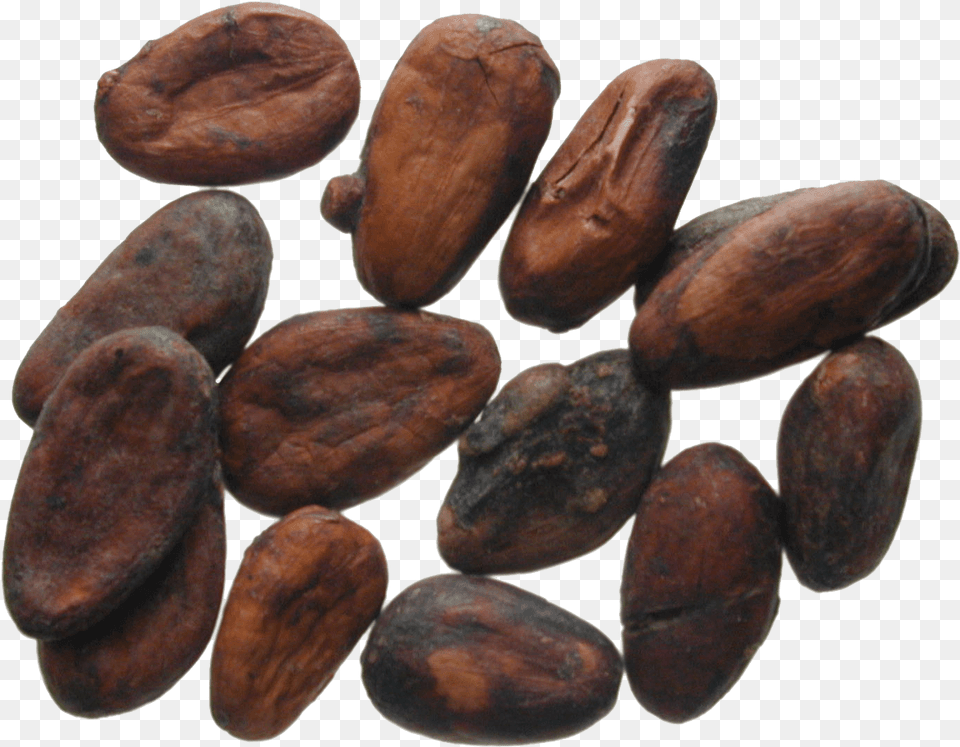 Latin America Cocoa Beans Kakaobohnen, Dessert, Food, Fungus, Plant Free Transparent Png