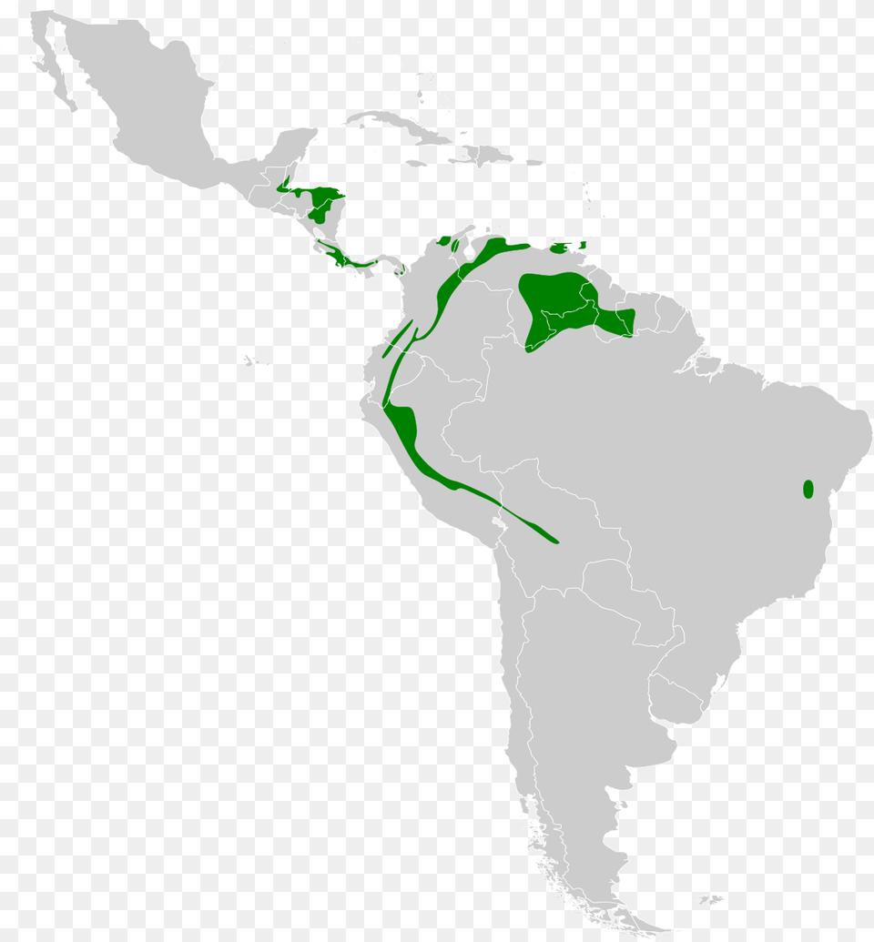 Latin America Map Svg, Plot, Chart, Land, Nature Free Png