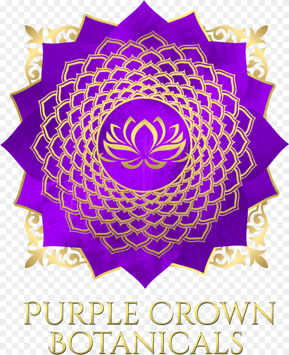 Latin Lawyer, Purple, Pattern, Advertisement, Poster Free Png