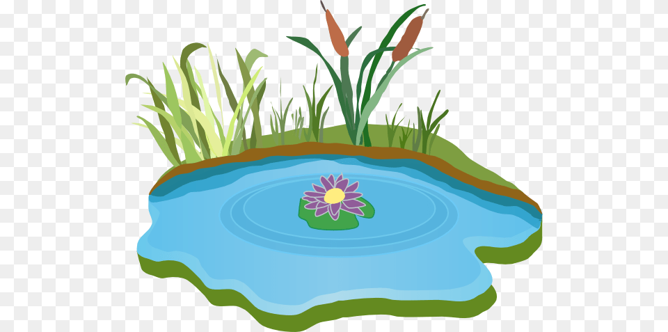 Latke Clip Art, Nature, Pond, Outdoors, Water Free Png