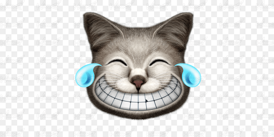 Laughing Cat Dog Loves Cat Funny Cat T Shirt Basic Tees, Animal, Mammal, Pet, Text Png