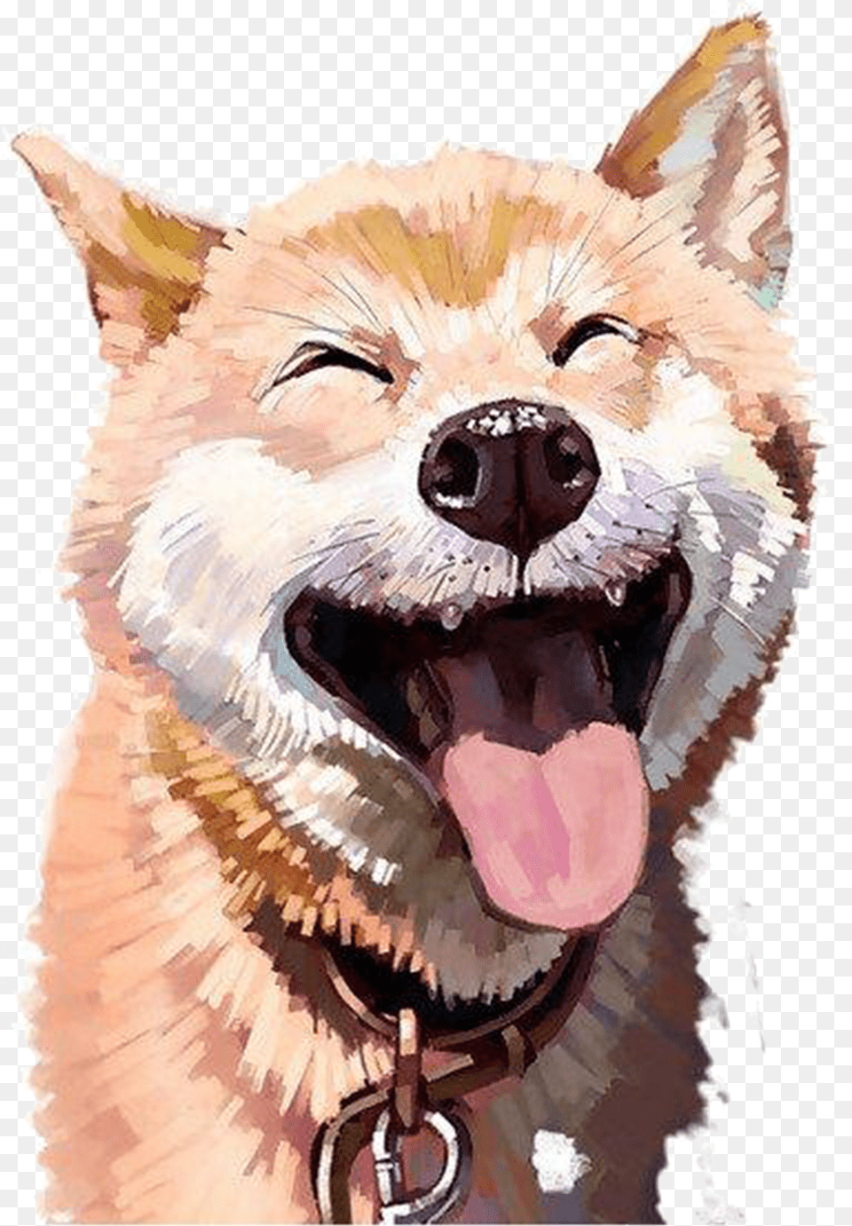 Laughing Shiba Inu Free Png Download