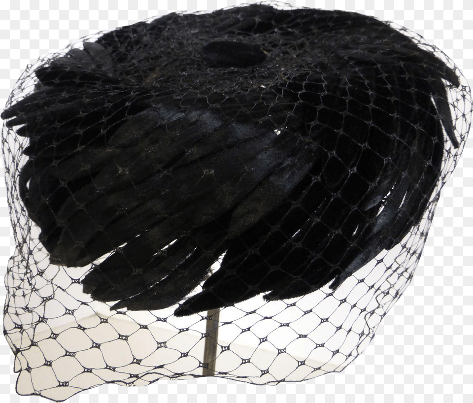 Laundry Basket, Clothing, Hat, Animal, Reptile Png Image