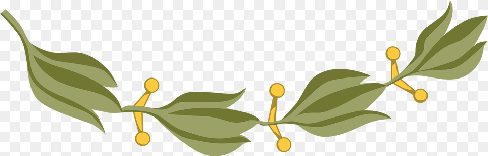 Laurel Branch Clipart, Herbs, Bud, Flower, Sprout Png Image