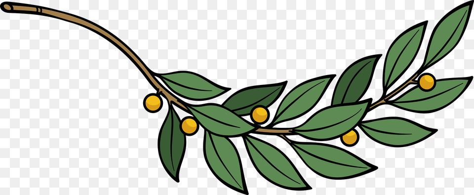 Laurel Branch Clipart, Plant, Leaf, Produce, Food Png