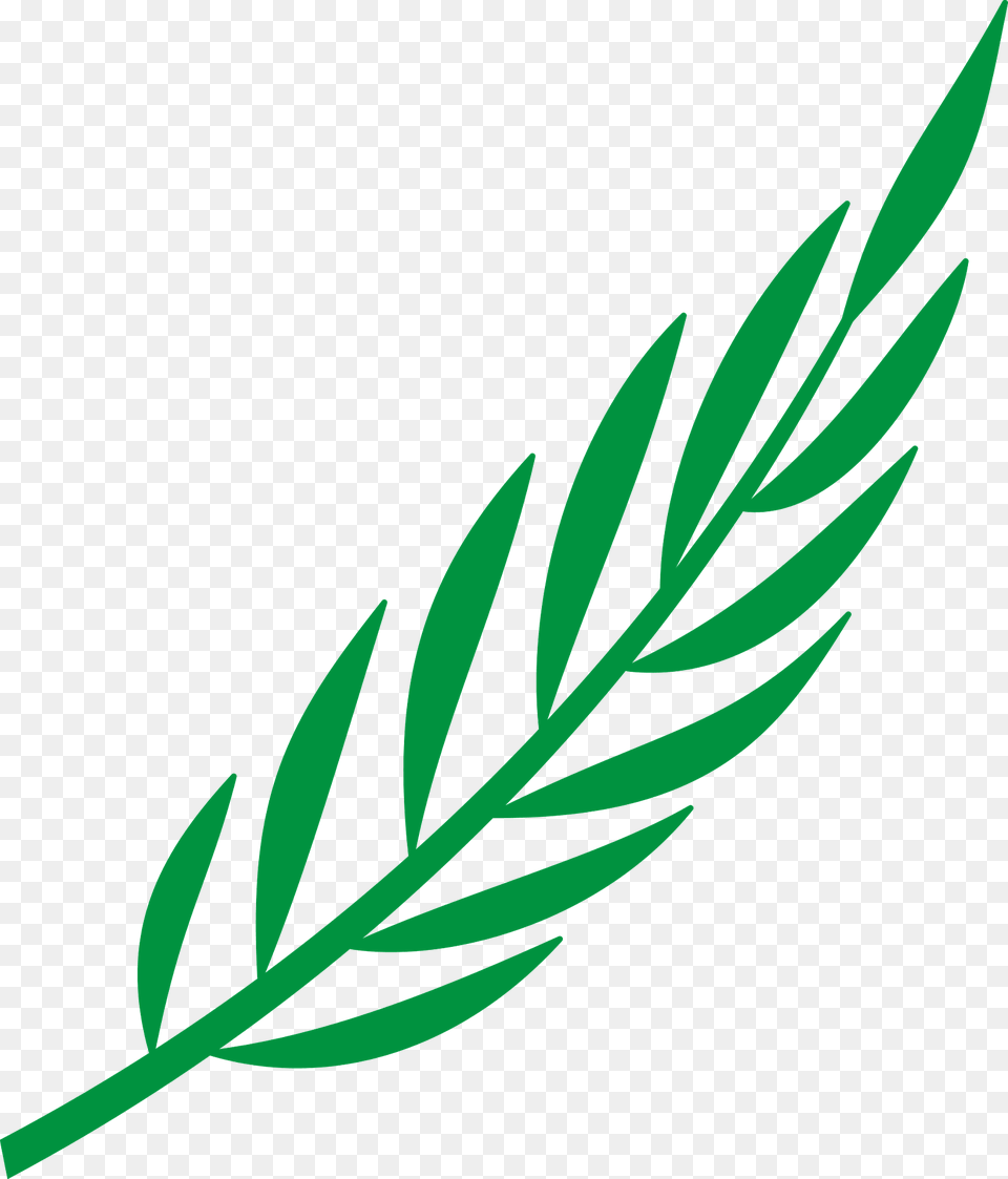 Laurel Branch Clipart, Green, Leaf, Plant, Grass Free Png