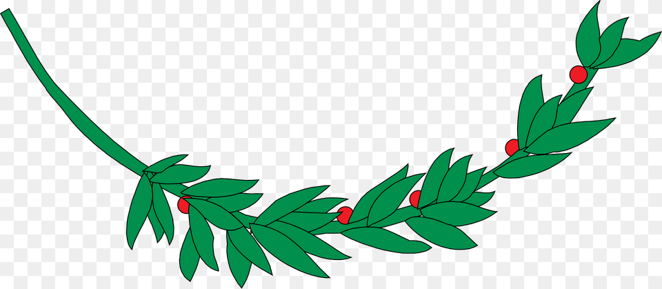 Laurel Branch Clipart, Conifer, Green, Plant, Tree Free Transparent Png