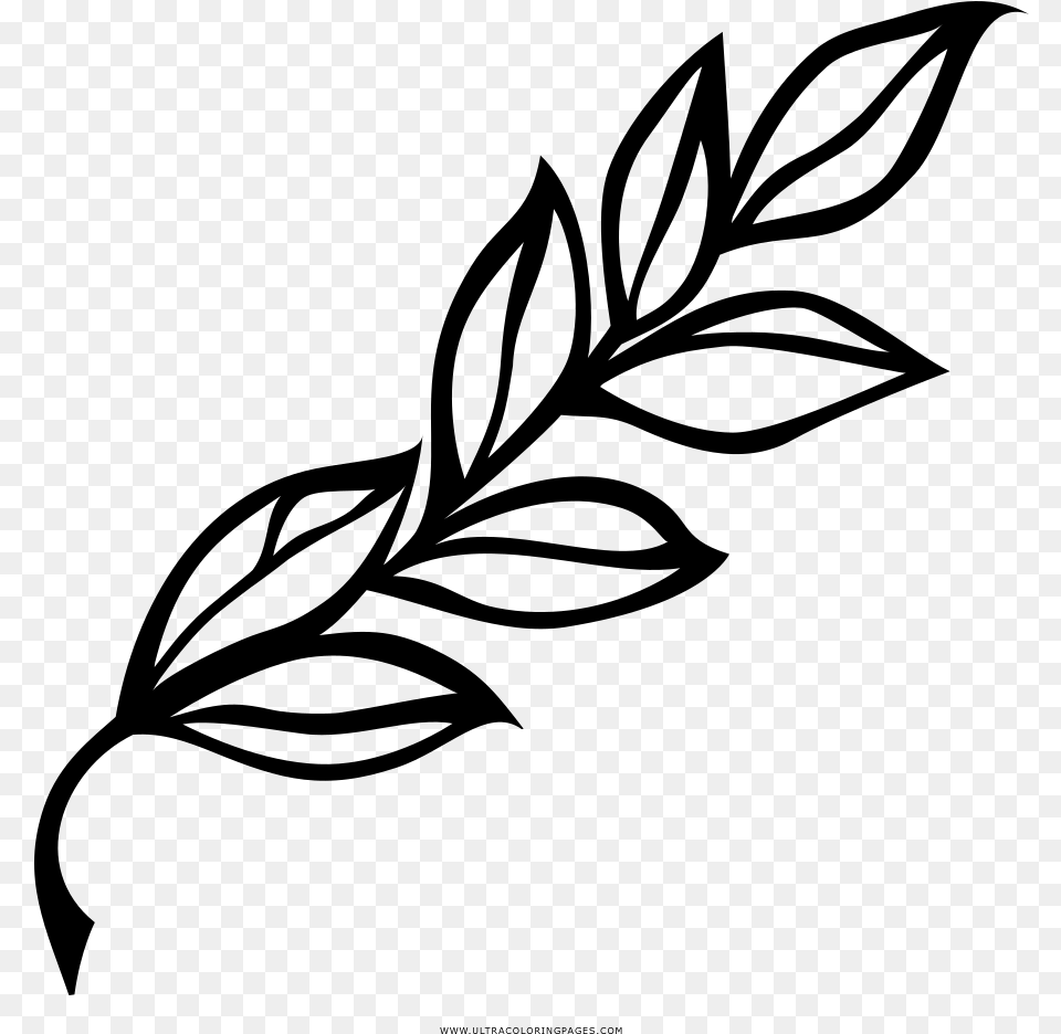 Laurel Branch Coloring, Gray Free Png