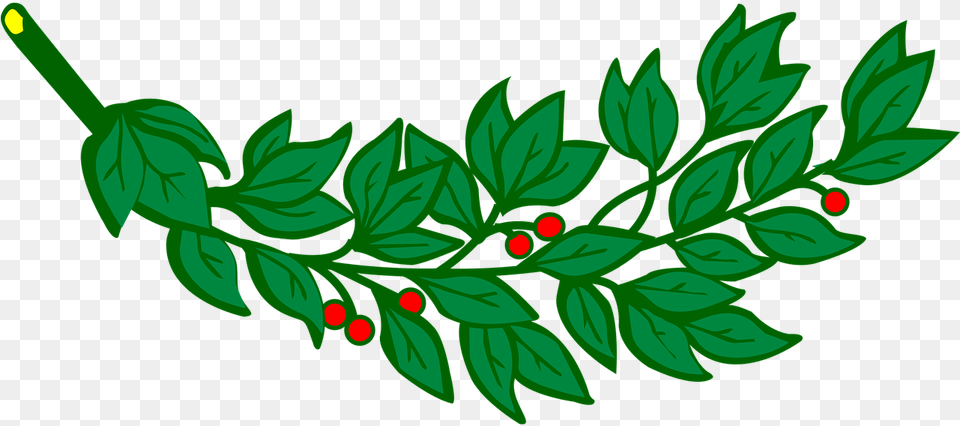 Laurel Branch Laurel Leaves With Red Fruits Clipart, Herbs, Plant, Green, Herbal Free Png Download