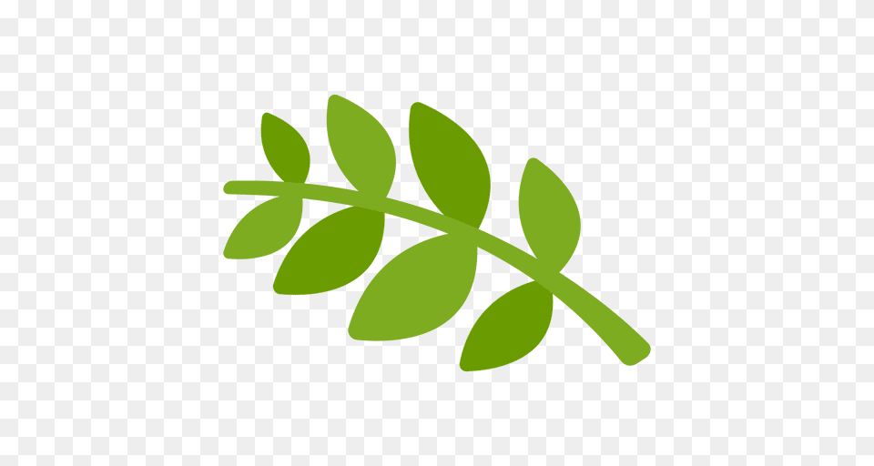 Laurel Cartoon Icon, Green, Herbal, Herbs, Leaf Free Png
