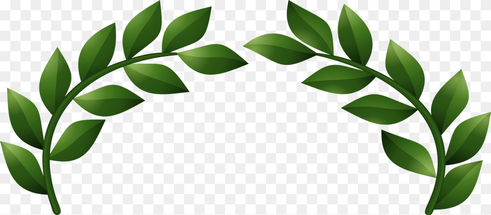 Laurel Clipart Leaves, Green, Leaf, Plant, Pattern Png Image
