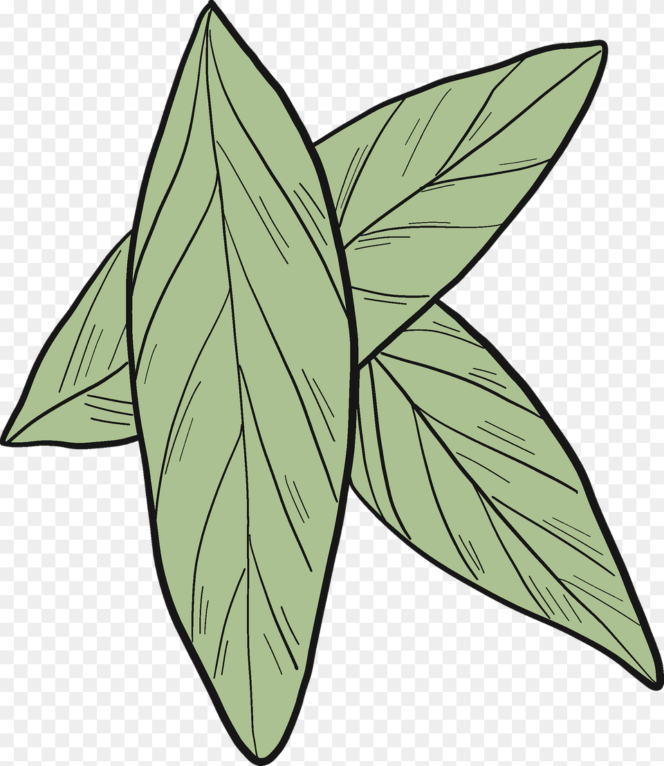 Laurel Leaves Clipart, Leaf, Plant, Animal, Fish Free Png
