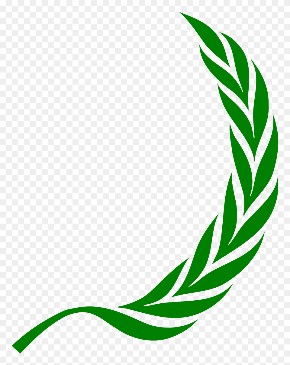 Laurel Right, Green, Plant Free Transparent Png