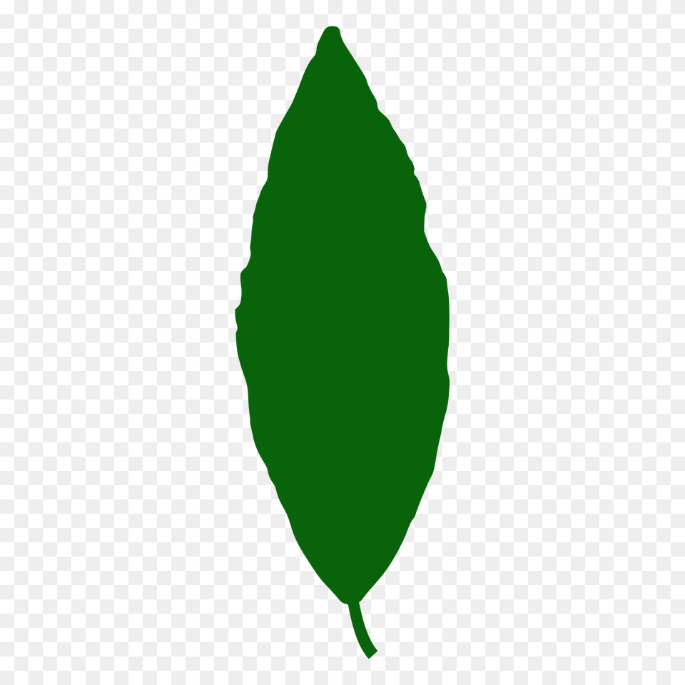 Laurel Tree Leaf Silhouette, Plant, Weapon, Animal, Fish Free Png Download