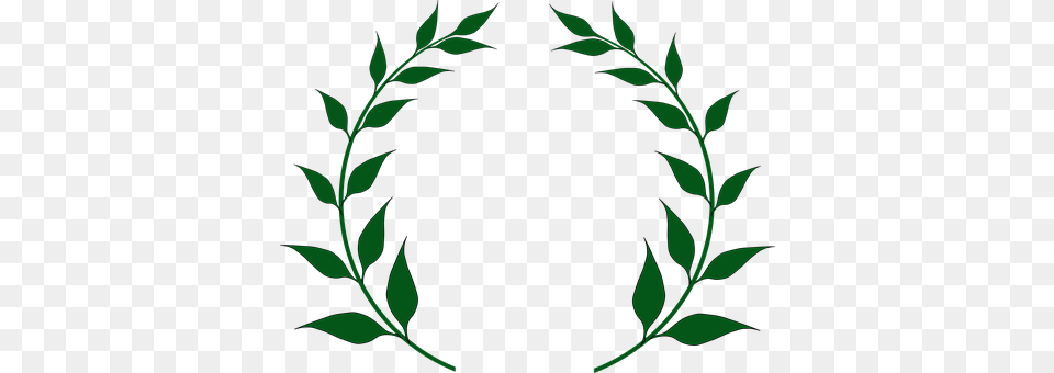 Laurel Wreath Green, Plant, Leaf, Pattern Free Transparent Png