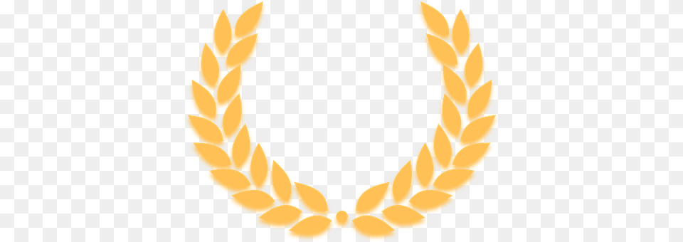 Laurel Wreath Accessories, Jewelry, Necklace, Gold Free Transparent Png