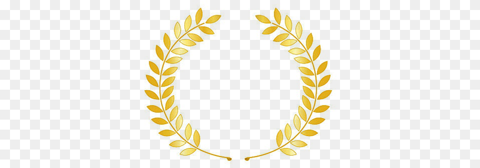 Laurel Wreath, Leaf, Plant, Pattern Png Image