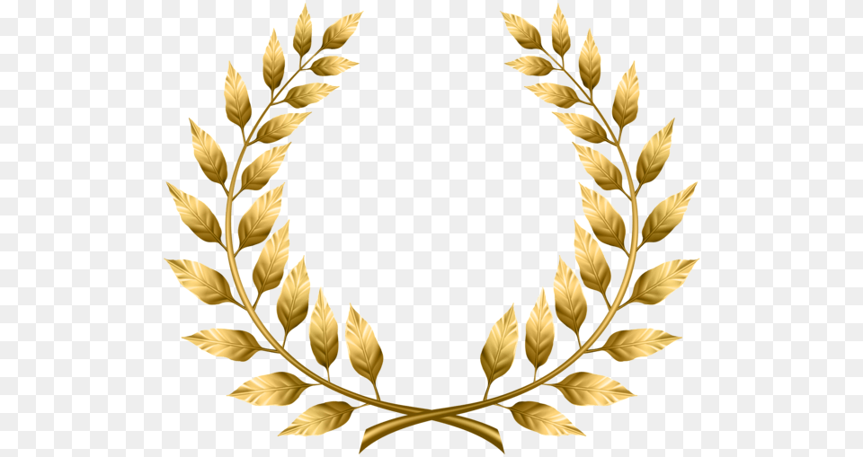 Laurel Wreath Clip Art Gallery, Gold, Plant, Accessories, Jewelry Free Png Download