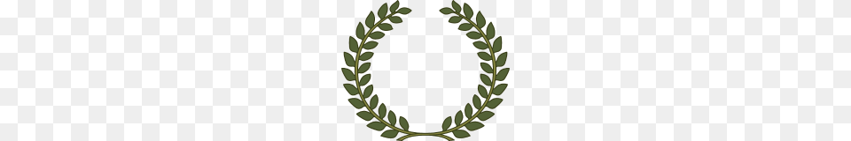 Laurel Wreath Laurel Leaf, Green, Oval, Plant, Pattern Free Transparent Png