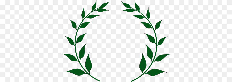 Laurel Wreath Wreath Greek Victory Award A San Josef National High School, Green, Plant, Leaf, Pattern Free Png Download