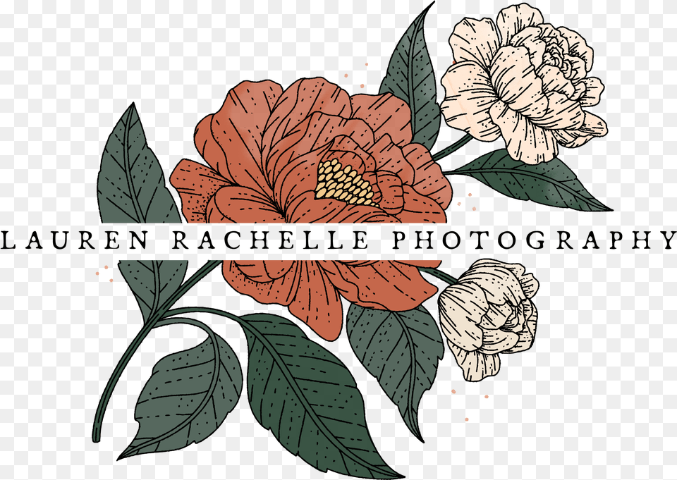 Lauren Rachelle Wedding Photography Illustration, Plant, Leaf, Pattern, Art Free Png Download