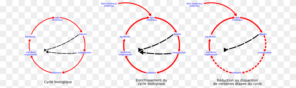 Laurent Eutrophisation Cycle, Hoop, Astronomy, Eclipse Png Image