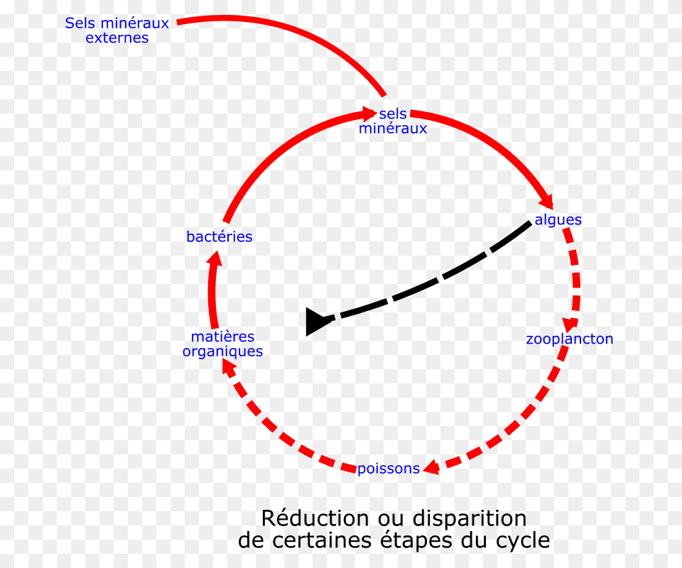 Laurent Eutrophisation Cycle, Nature, Night, Outdoors, Astronomy Free Png