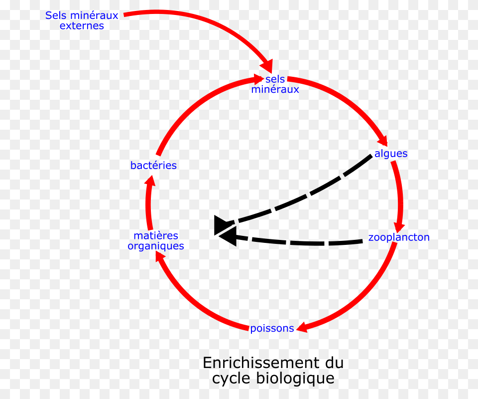 Laurent Eutrophisation Cycle, Nature, Night, Outdoors, Astronomy Free Png