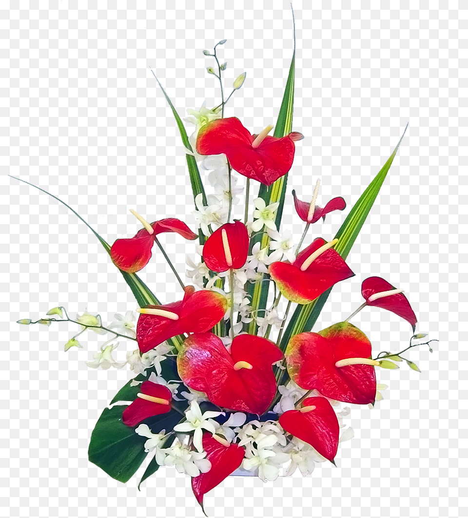 Lava Fountain U2013 Arrangement Of Hawaiian Flowers Greeting Card, Plant, Flower, Flower Arrangement, Flower Bouquet Png