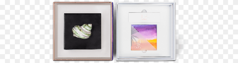 Lava Seaful Candle Picture Frame, Animal, Invertebrate, Sea Life, Seashell Free Png Download