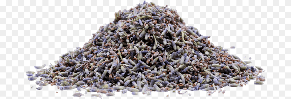 Lavender 1 Lb Sesame, Flower, Plant, Pollen Free Png