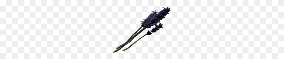 Lavender, Flower, Plant, Smoke Pipe Png