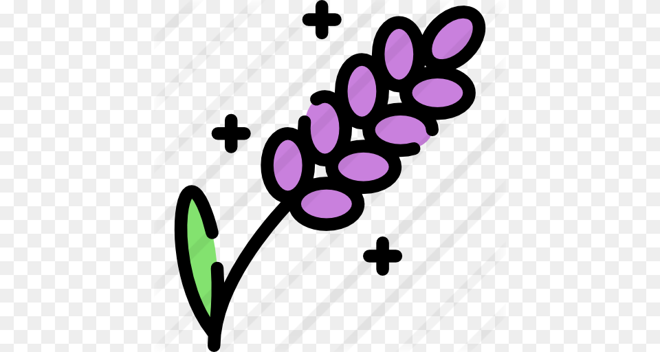 Lavender, Flower, Petal, Plant, Purple Free Png Download