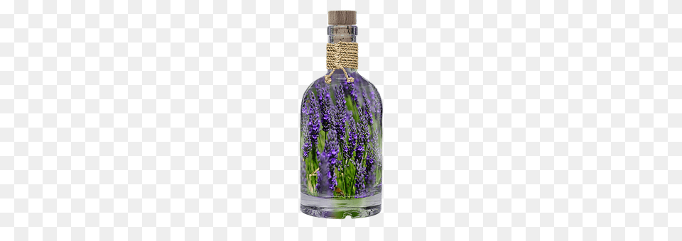 Lavender Flower, Plant, Bottle, Ammunition Free Transparent Png