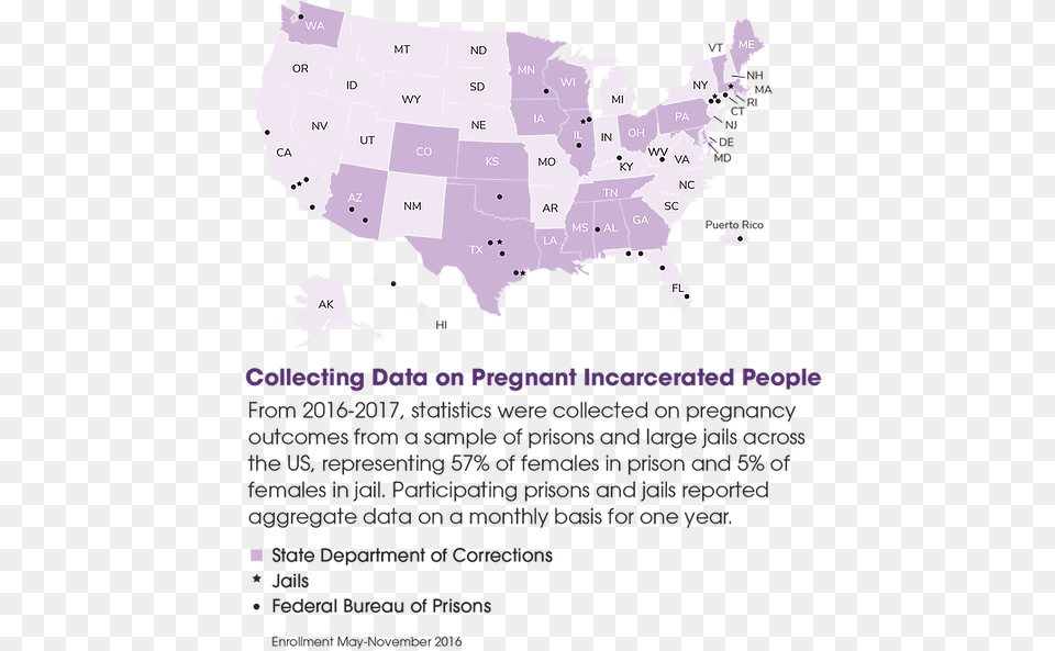 Lavender, Chart, Plot, Map, Head Png