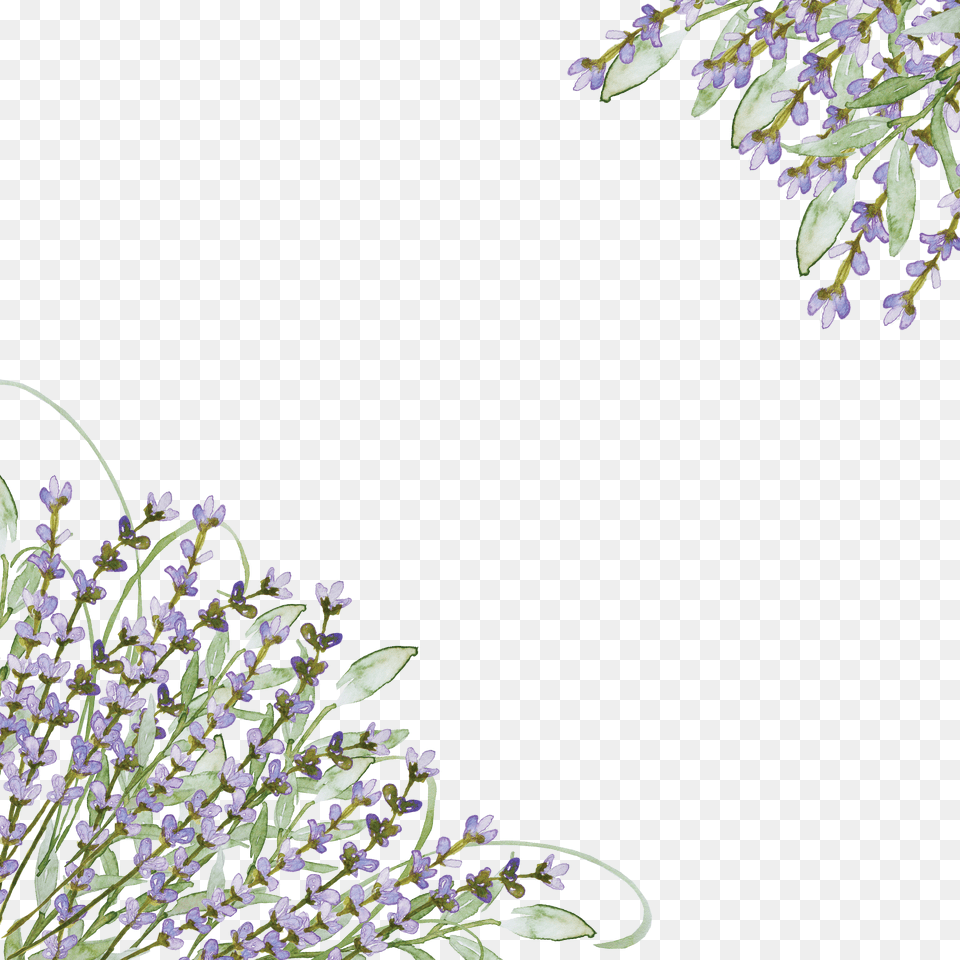 Lavender Border Clipart Png