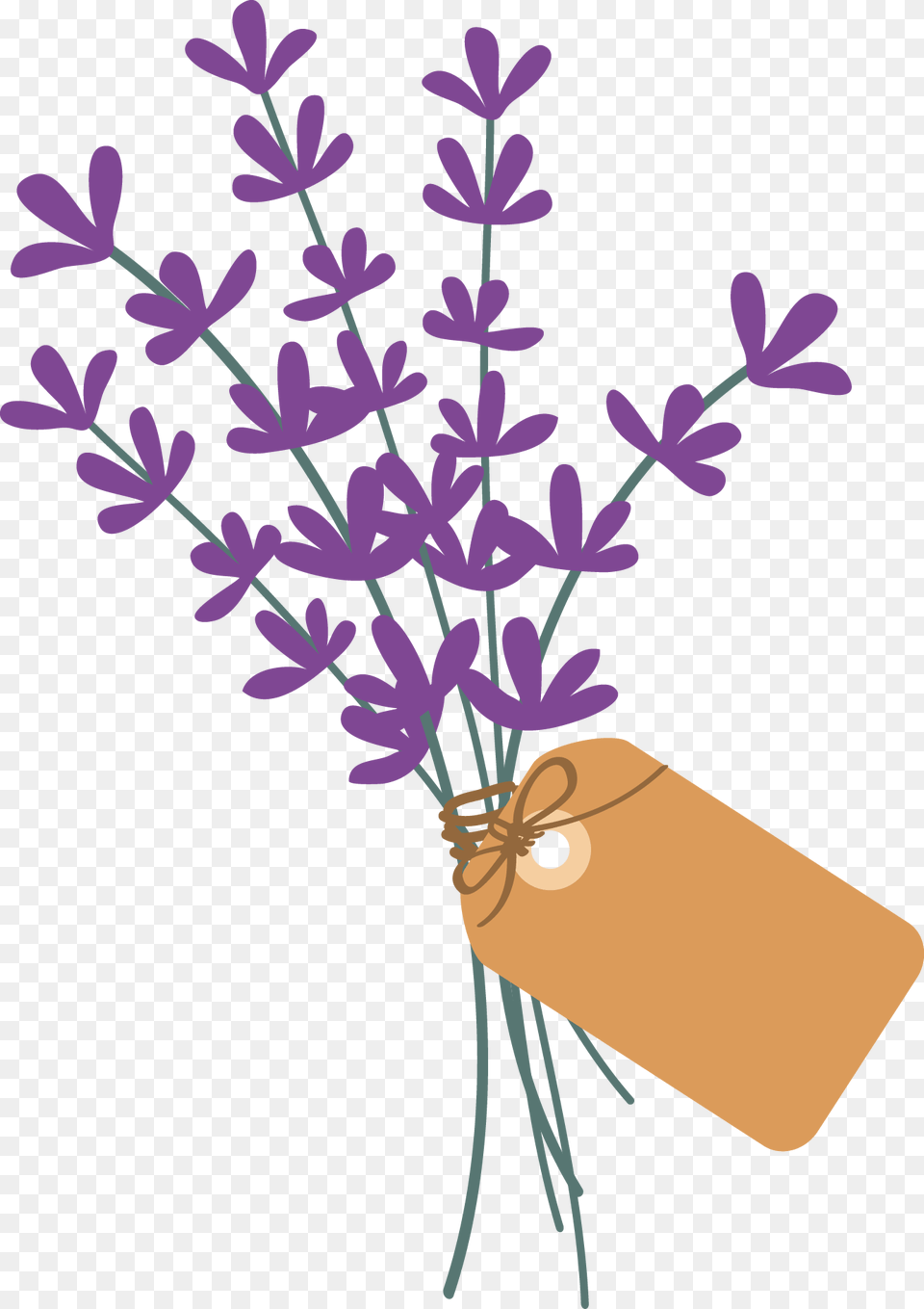 Lavender Bunch Folklore Transparent Flower, Plant, Herbal, Herbs Free Png