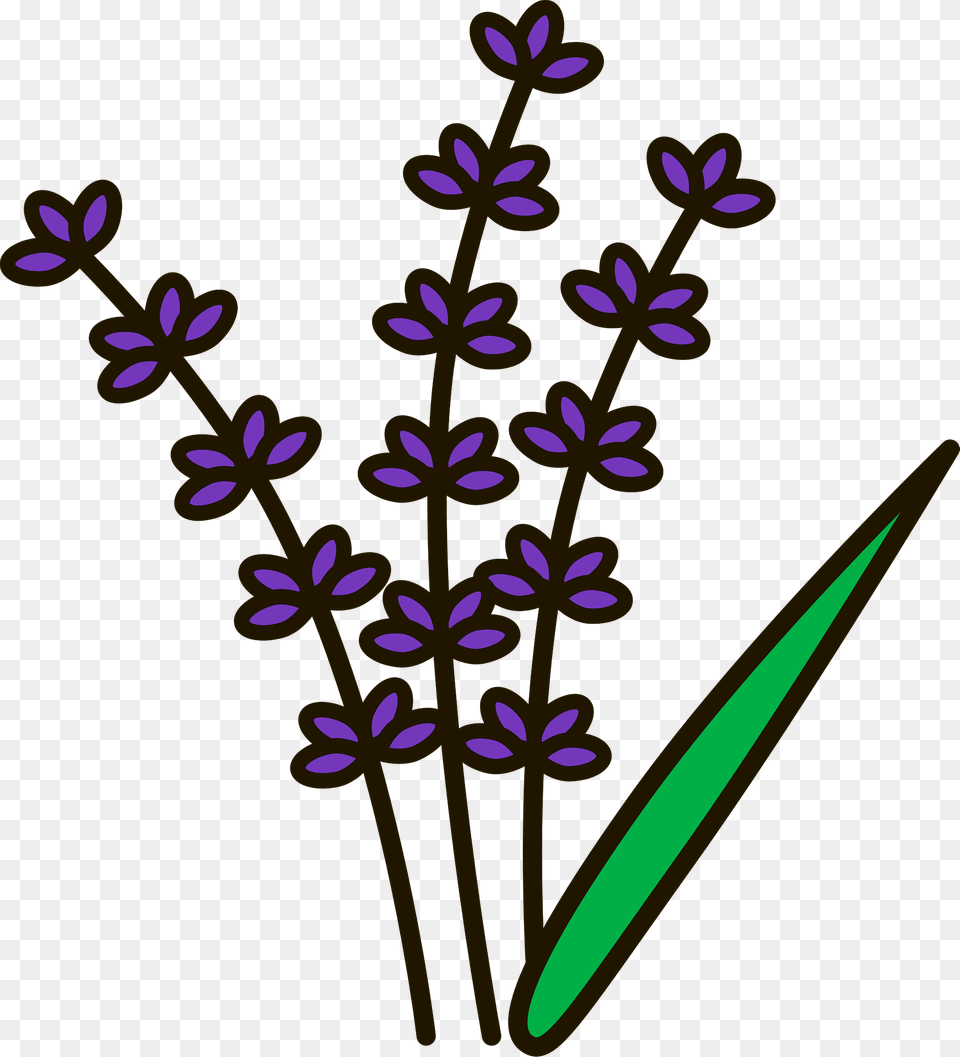 Lavender Clipart, Flower, Plant, Purple, Pattern Png Image