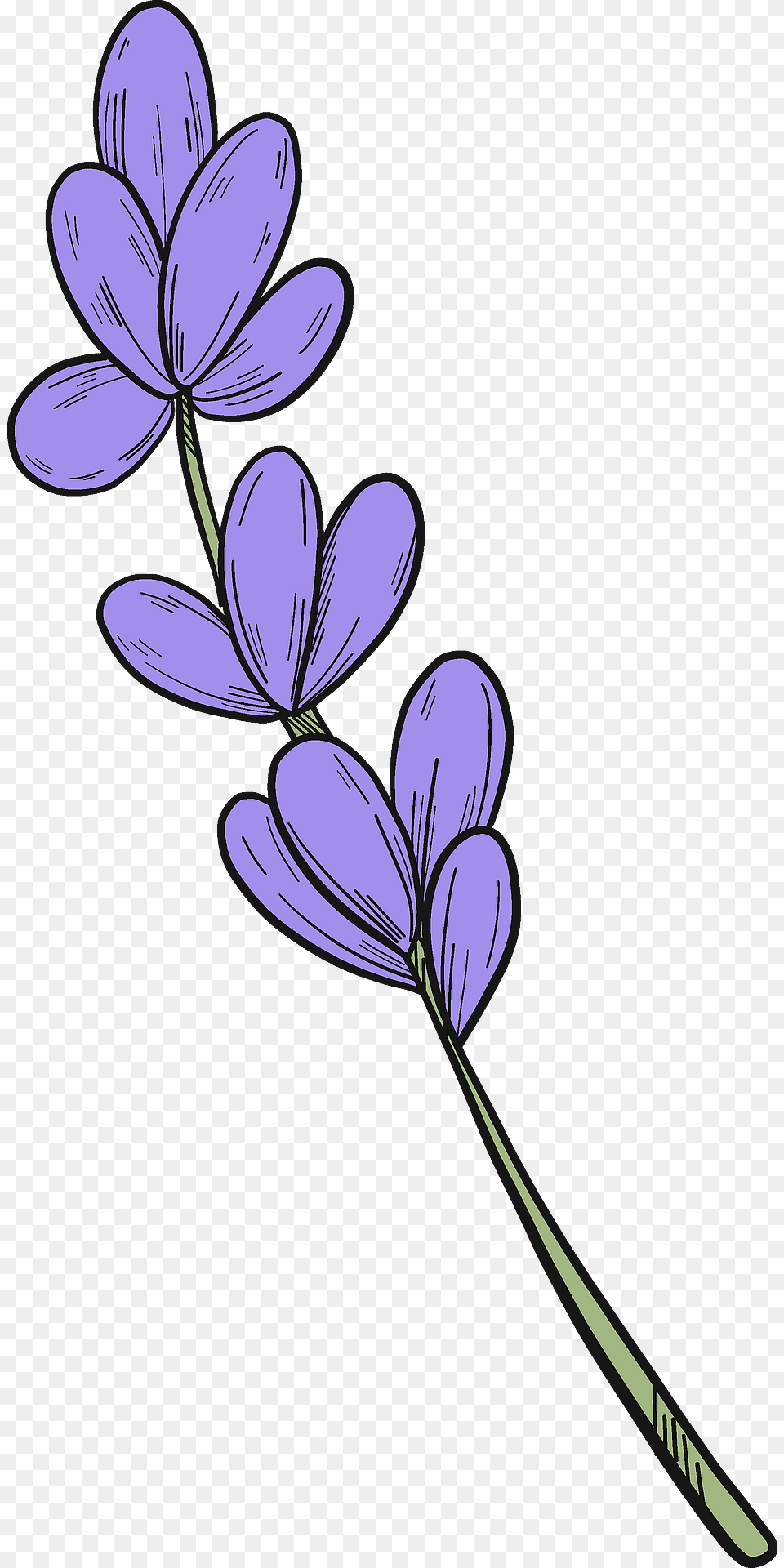Lavender Clipart, Flower, Plant, Petal, Anther Free Png Download